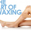 Waxology