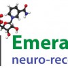 Emerald Neuro-Recover Centers