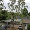 Arbor Aid Tree Care