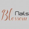 Blossom Nails