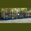 Carolina Fence Supply