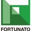 Fortunato Construction Group