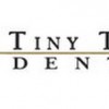 Tiny Town Dental