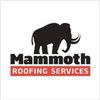 Mammoth Services