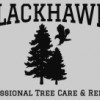 Blackhawk Tree