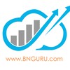 Beyond Numbers Guru Business Services