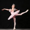 The Academy Of Russian Ballet