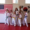 Mccall Taekwondo Club