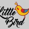 Little Bird Childcare