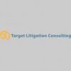 Target Litigation Consultant