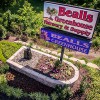 Beall's Greenhouse Nursery & Supply