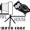 Owl House Photo Coop