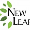 New Leaf Construction