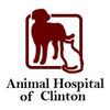 Animal Emergency & Referral