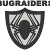 Bug Raiders