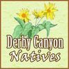 Derby Canyon Natives