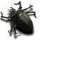 Integrated Pest Management Solutions