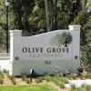 Olive Grove Apartments