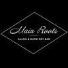 Main Roots Salon & Blow Dry Bar