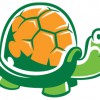 Turtle Rock Preschool