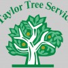 Taylor Tree Service