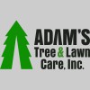 Adam's Tree & Lawn Care