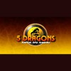 Five Dragons Martial Arts Academy