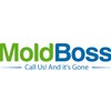 Mold Boss