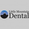 Little Mountain Dental