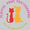 Playful Paws Photography