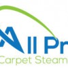 All Pro Carpet Steamers