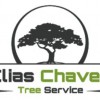 Elias Chavez Tree Service