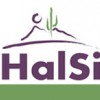 Halsi Insurance Services