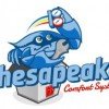 Chesapeake Comfort Systems