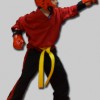 Red Dragon Karate School