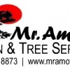 Mr Amoto Lawn & Tree Service