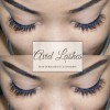 Avid Lashes