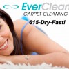 EverClean Carpet Cleaning