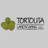 Tortolita Landscaping