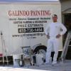 Galindo Painting & Handyman Services