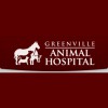 Greenville Animal Hospital