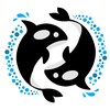 Orca Printing