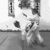 Renshinkai Aikibudo