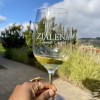 Zialena Winery