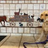 Deer Park Veterinary Clinic