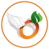 Flying Orange