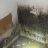 A1 Mold Testing & Remediation