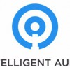 Intelligent Audit