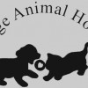 Bocage Animal Hospital