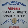 Blue Mountain Car Care